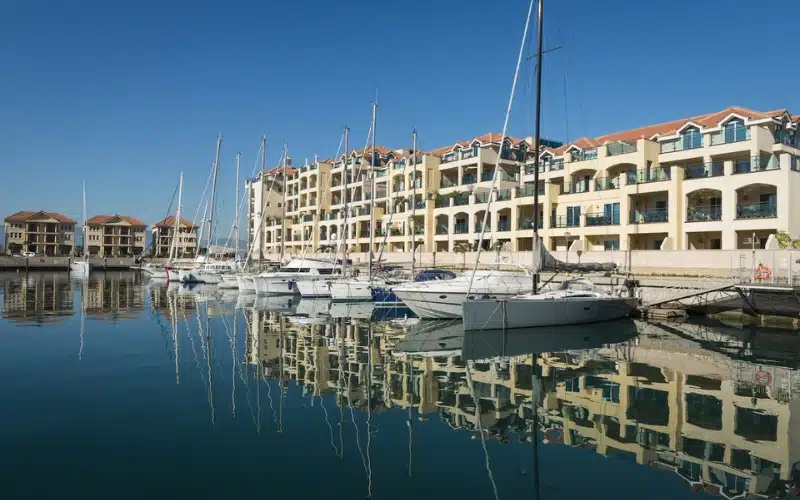 property+management+company